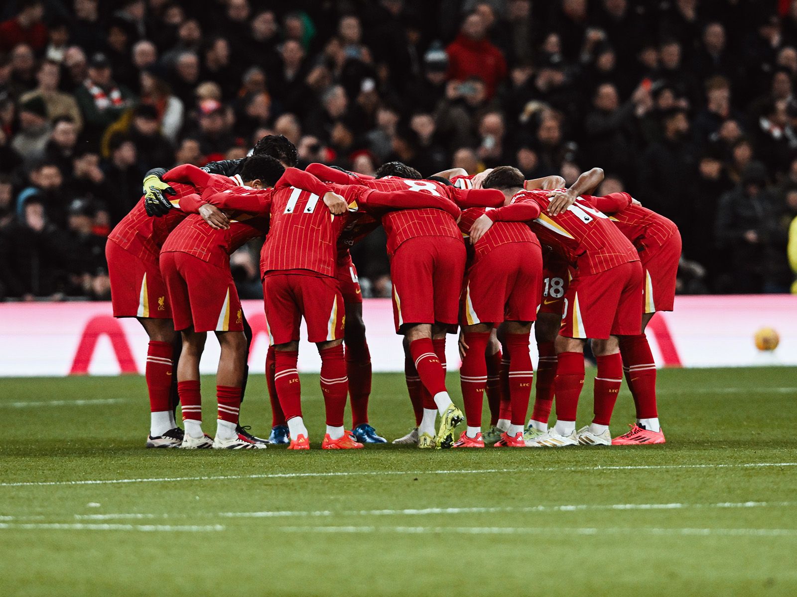 中国女棒老将的赛场智慧